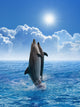Dolphins Doing a Tail Stand Wall Decal