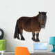 Shetland Pony Wall Decal