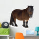 Shetland Pony Wall Decal