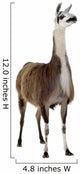 Llama Wall Decal