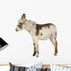 Young Donkey Wall Decal