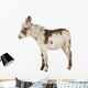 Young Donkey Wall Decal