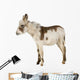 Young Donkey Wall Decal