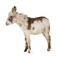 Young Donkey Wall Decal
