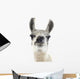 Llama -  Lama Glama Wall Decal