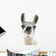 Llama -  Lama Glama Wall Decal