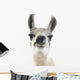 Llama -  Lama Glama Wall Decal