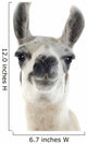Llama -  Lama Glama Wall Decal