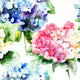 Watercolor Hydrangea Flowers Wall Decal
