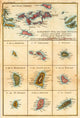 Vintage Virgin Islands Map Wall Decal