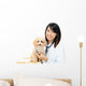 Asian Female Veterinarian Wall Decal