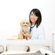 Asian Female Veterinarian Wall Decal