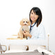 Asian Female Veterinarian Wall Decal