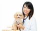 Asian Female Veterinarian Wall Decal