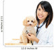 Asian Female Veterinarian Wall Decal