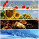 Season Collage Wall Decal