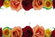 Floral Border Composed Roses Wall Decal