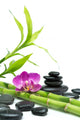Purple Orchid with Bamboo Wall Decal