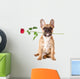French Bulldog with Rose Wall Decal