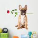 French Bulldog with Rose Wall Decal