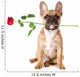 French Bulldog with Rose Wall Decal
