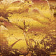 Gold Grunge Texture Wall Decal