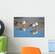 Seagulls Are Watch for Wall Decal