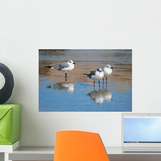 Seagulls Are Watch for Wall Decal