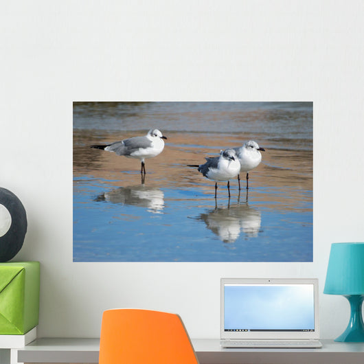 Seagulls Are Watch for Wall Decal
