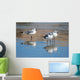Seagulls Are Watch for Wall Decal