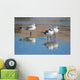 Seagulls Are Watch for Wall Decal
