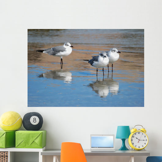 Seagulls Are Watch for Wall Decal
