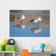 Seagulls Are Watch for Wall Decal