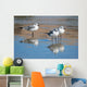 Seagulls Are Watch for Wall Decal