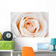 Beautiful White Rose Wall Decal