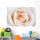 Beautiful White Rose Wall Decal