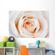 Beautiful White Rose Wall Decal