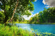 Clean Lake Green Spring Wall Decal