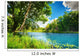 Clean Lake Green Spring Wall Decal
