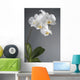 White Orchid Flower Wall Decal