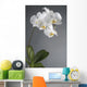 White Orchid Flower Wall Decal