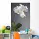White Orchid Flower Wall Decal