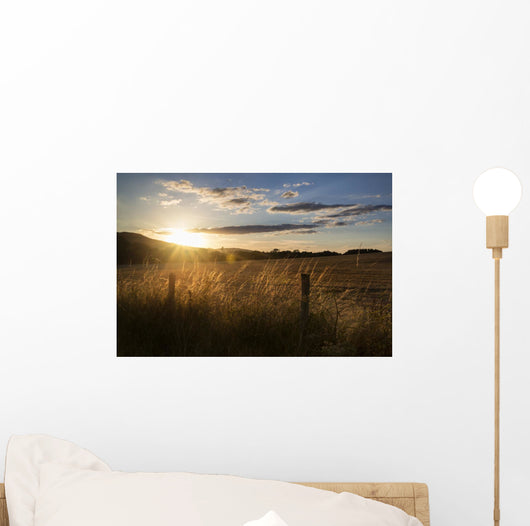 Beautiful Summer Landscape Sun Wall Decal