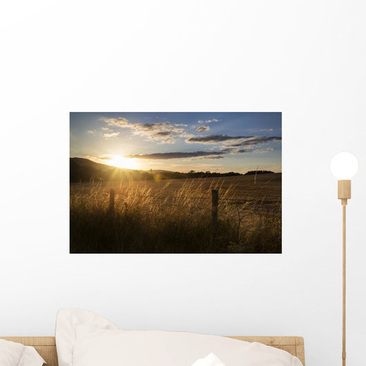 Beautiful Summer Landscape Sun Wall Decal