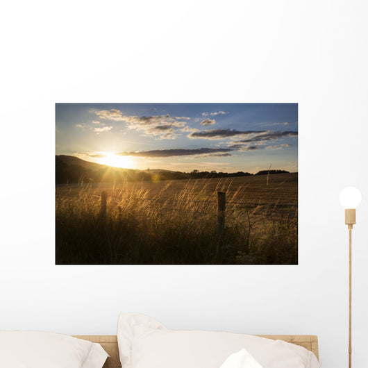Beautiful Summer Landscape Sun Wall Decal