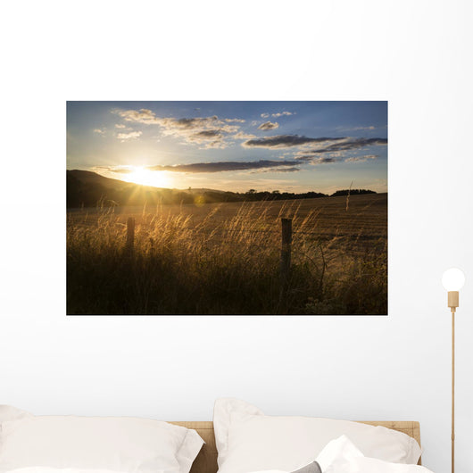 Beautiful Summer Landscape Sun Wall Decal