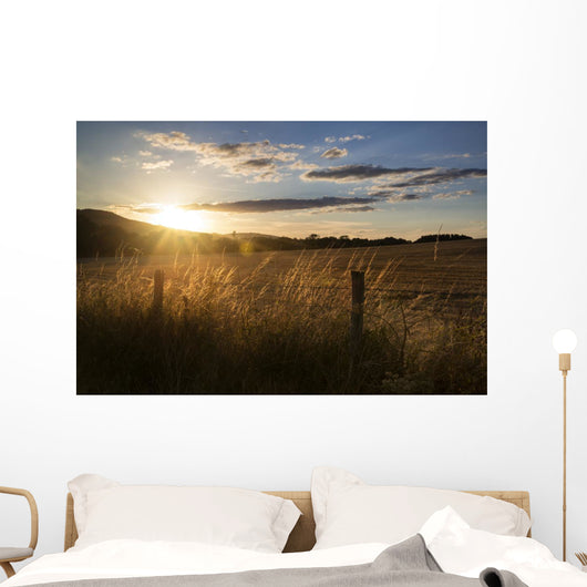 Beautiful Summer Landscape Sun Wall Decal