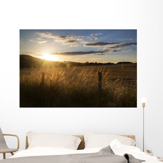 Beautiful Summer Landscape Sun Wall Decal