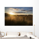 Beautiful Summer Landscape Sun Wall Decal