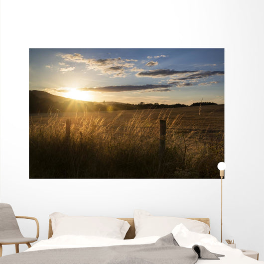 Beautiful Summer Landscape Sun Wall Decal